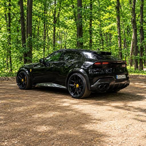 RARI