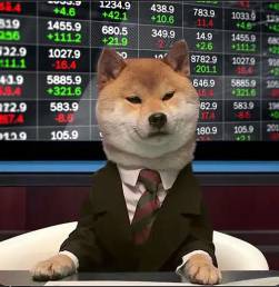 STOCKDOG