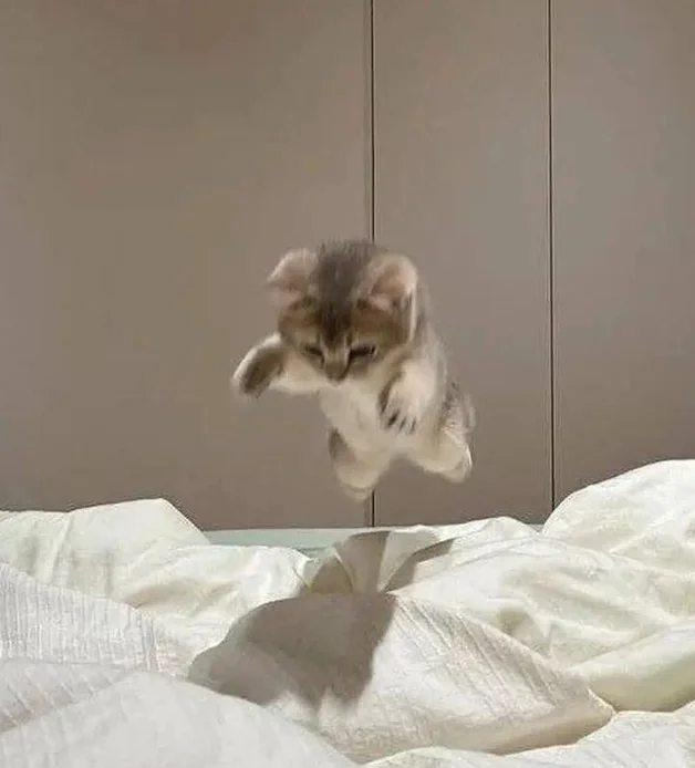 WEEEEE