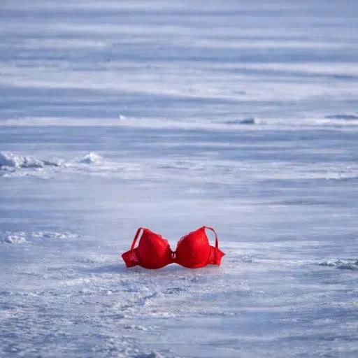 Bra