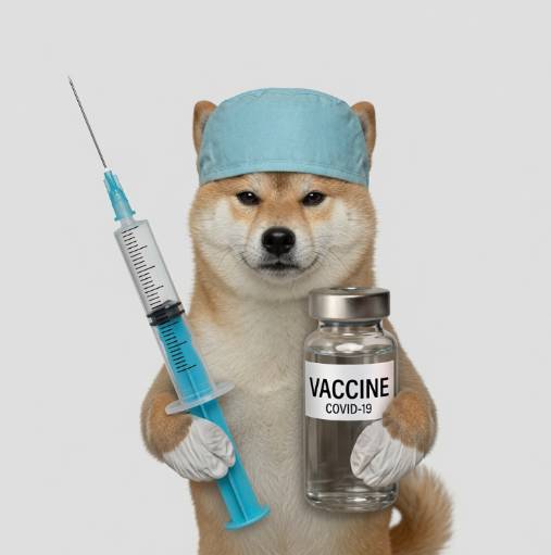 INJECTINU