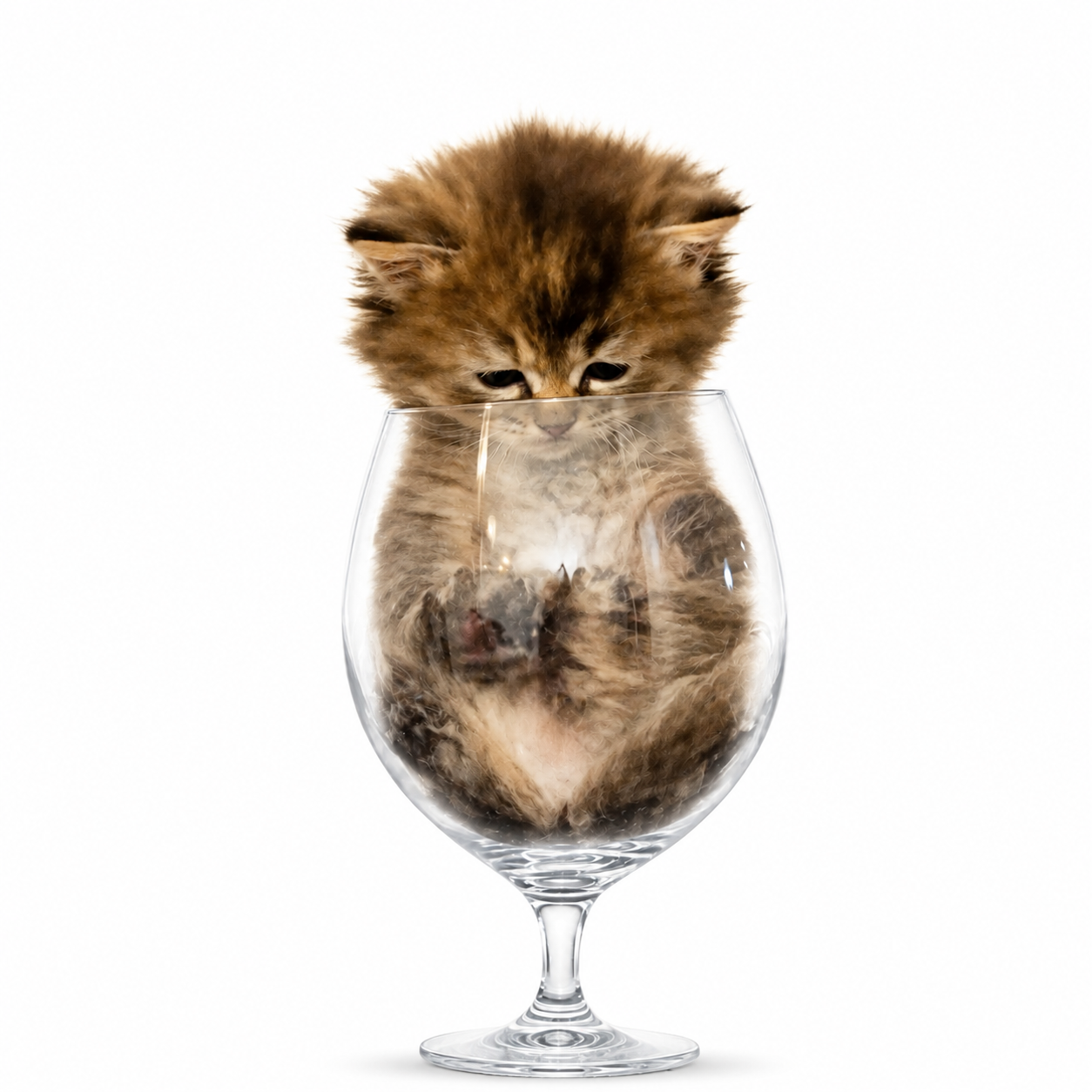 CUPCAT