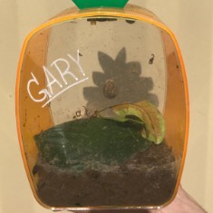 Gary logo