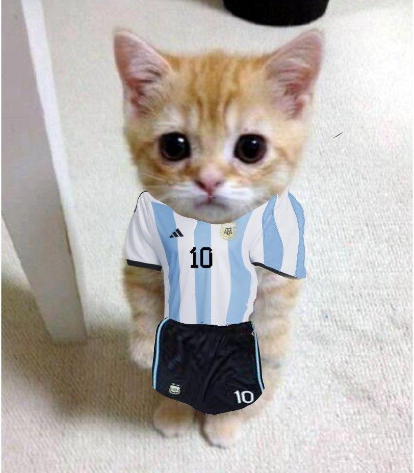 Lionel Meowssi