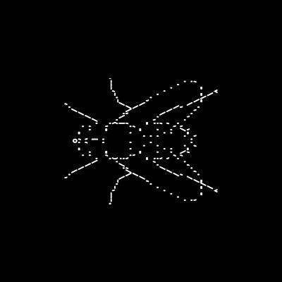 FLYTEK