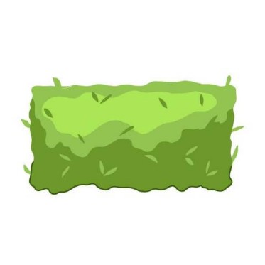 Hedge
