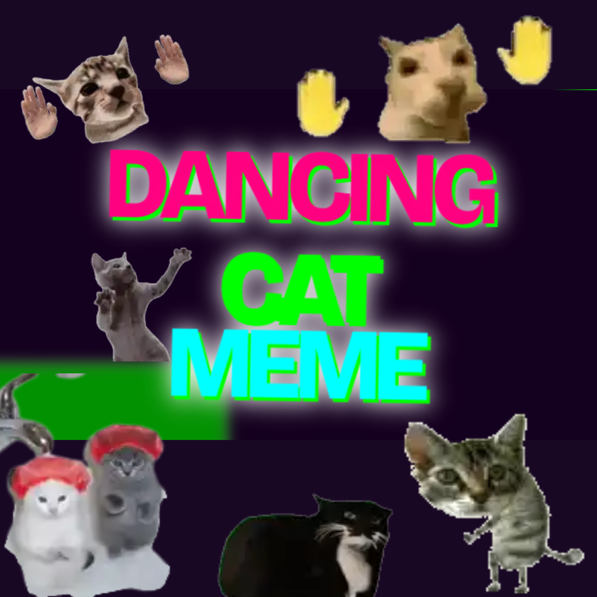 DCM